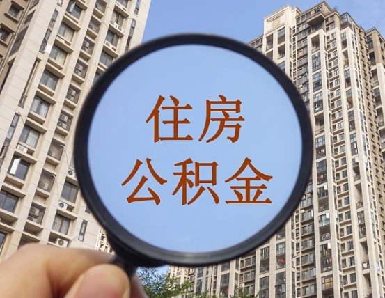 临沂退休后查不到公积金明细了吗（退休后公积金查询不到原因）